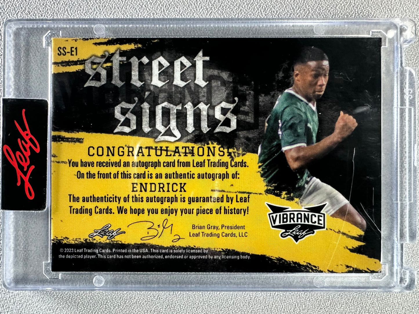 2023 Leaf Vibrance Endrick Street Signs #SS-E1 Autograph