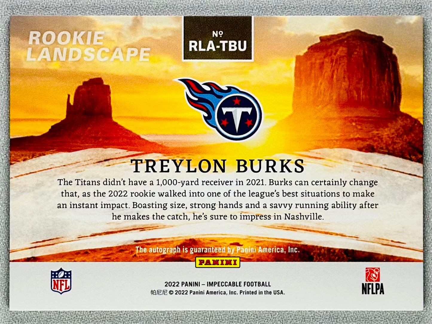 2022 Panini Impeccable Treylon Burks Rookie Landscapes Silver /49 #RLA-TBU RC